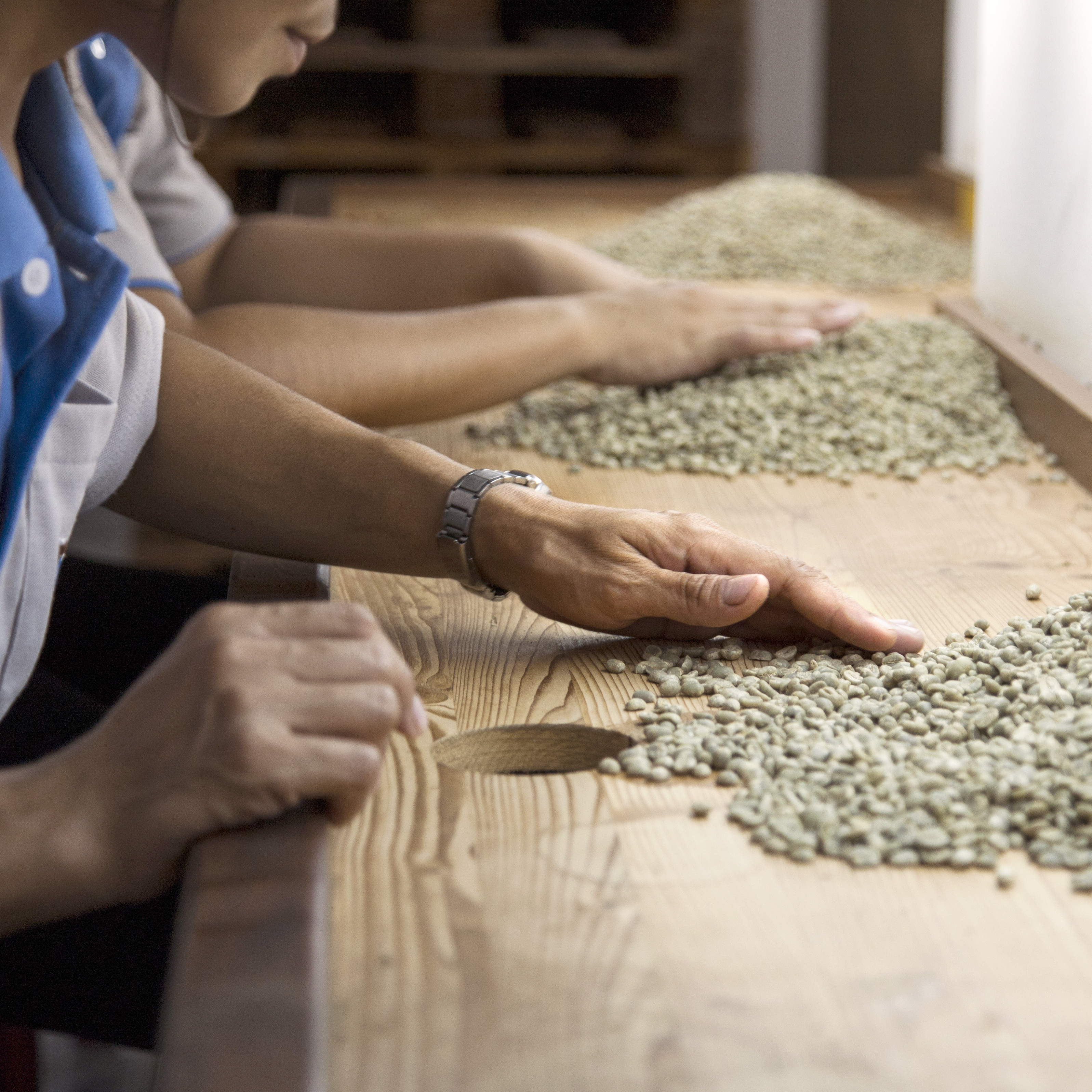Fair Trade Farming Coffee