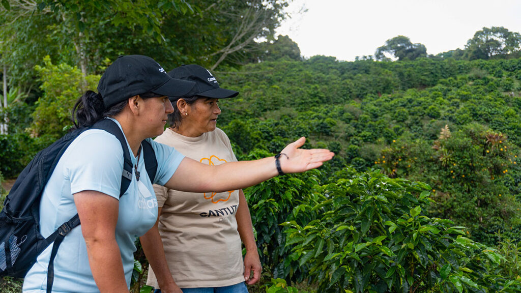 Two women overlooking a coffee plantation in Colombia